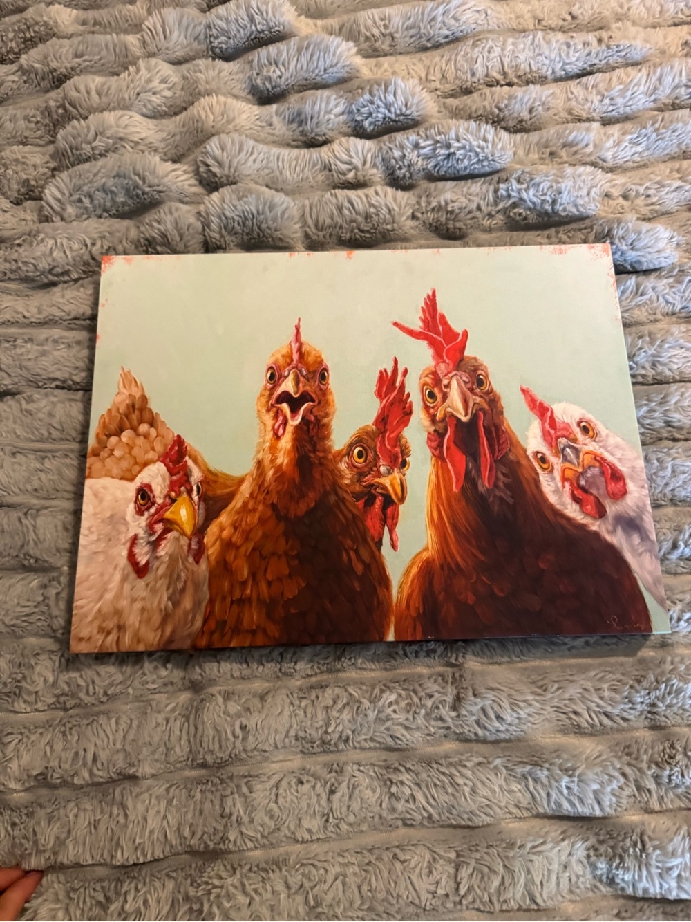 Colorful Chicken Portrait Canvas Art - Whimsical Hen Group 12in x 16in